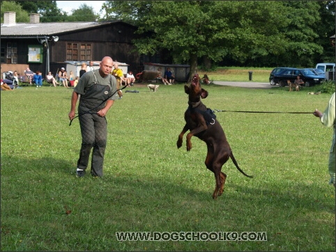 Training camp - Lukova 2007